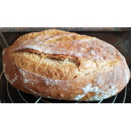 Řemeslný kváskový chléb pšenično - žitný se škvarky